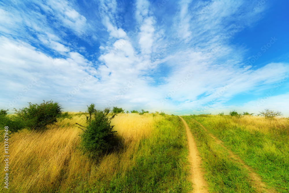 Summer meadows rural landscape. Poland countryside.