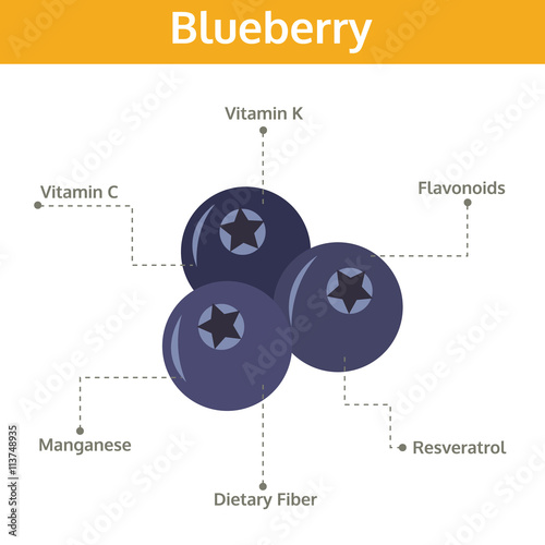 blueberry nutrient of facts and health benefits, info graphic
