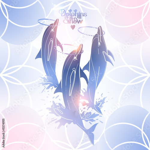 Graphic dolphins with hoops