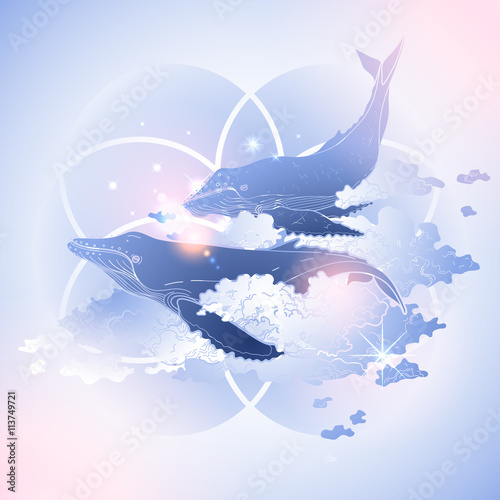 Graphic whales flying in the sky