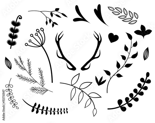 Rustic design elements set vector