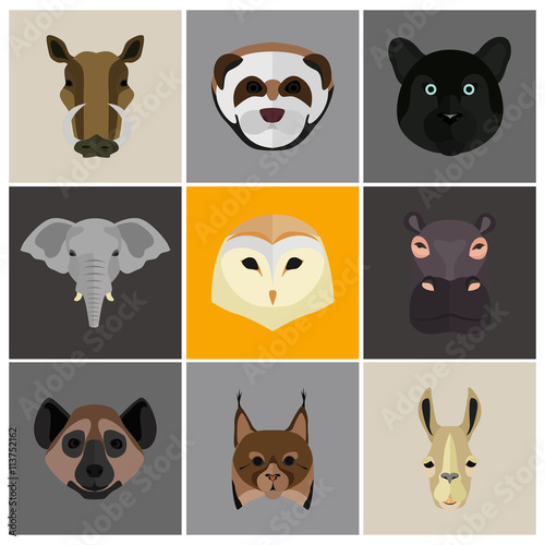 Animals color flat set