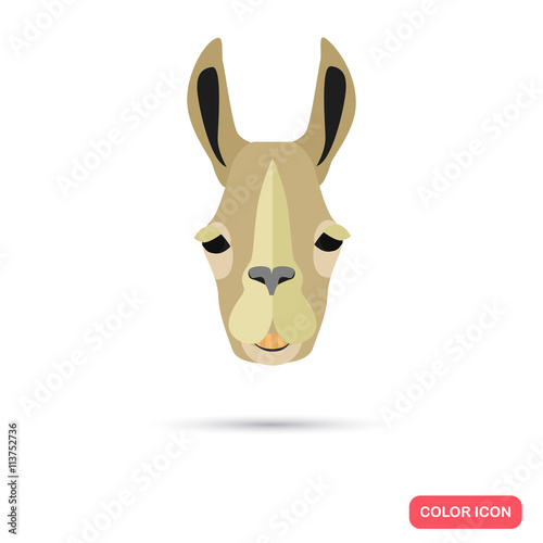 Lama color flat icon © LynxVector