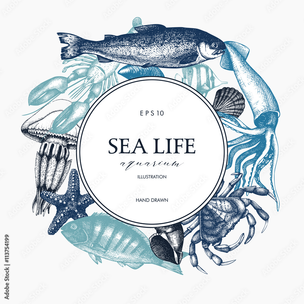 Obraz premium Vector Sea life design. Mussels, fish, crab, starfish, squid, jellyfish, lobster sketch. Hand drawn sea life illustration. Vintage template. Wedding design elements