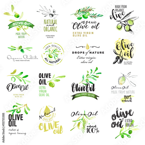 Set of hand drawn watercolor labels and elements of olive oil. Vector illustrations for olive oil labels, packaging design, natural products, restaurant