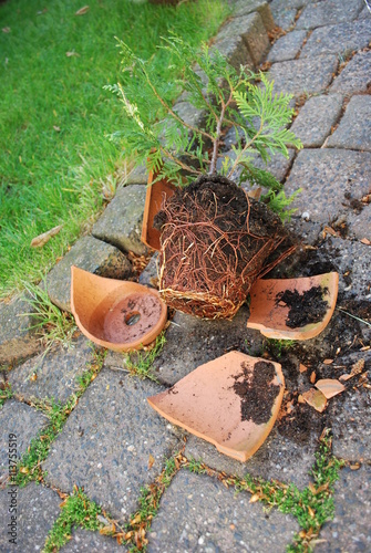 Obraz na płótnie Broken ceramic flower pot
