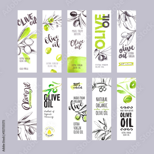 Set of hand drawn watercolor olive oil labels. Vector illustrations concepts for olive oil packaging.