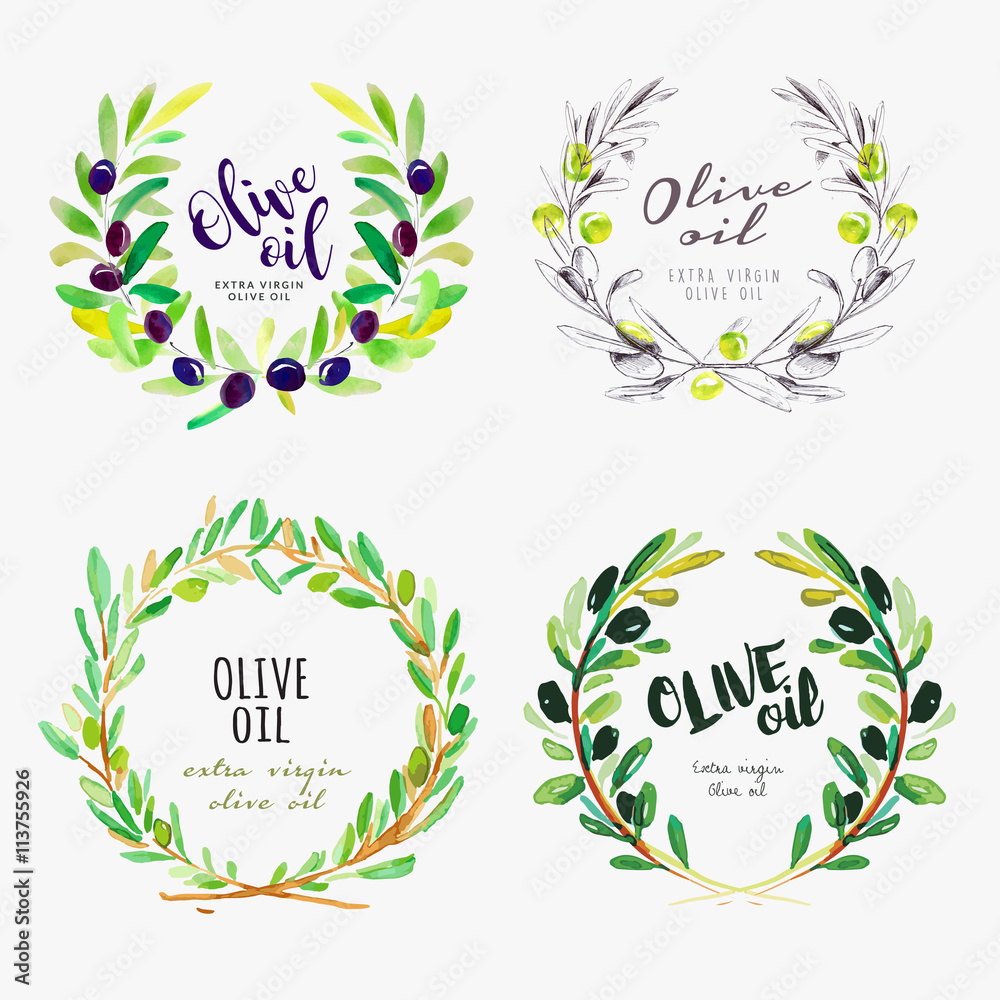 Hand drawn watercolor elements of olive oil. Set of vector illustrations for olive oil labels, packaging design, natural products, restaurant and menu. Hand drawn watercolor elements of olive oil. Set of vector illustrations for olive oil labels, packaging design, natural products, restaurant and menu.