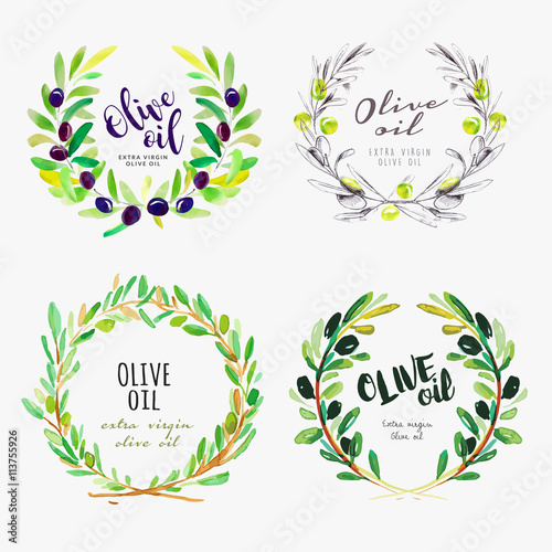 Hand drawn watercolor elements of olive oil. Set of vector illustrations for olive oil labels, packaging design, natural products, restaurant and menu.