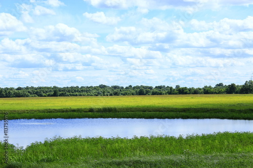 landscape with summer lake field and clouds