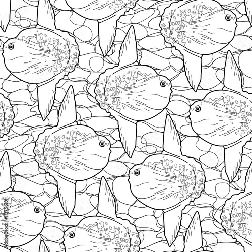 Graphic vector sunfish pattern