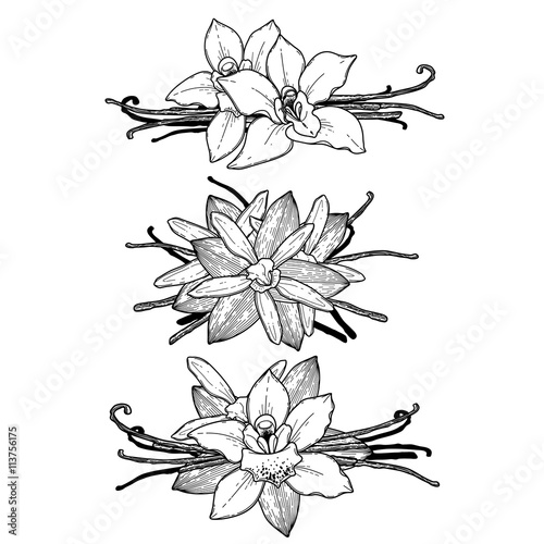 Graphic vanilla vignette
