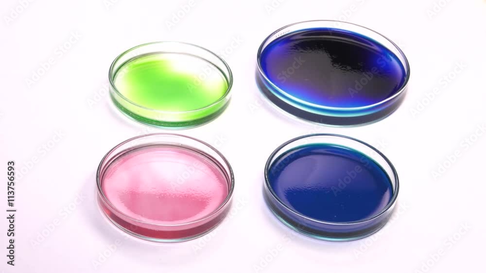 Positioning en filled bue petri dish Positioning en filled bue petri dish