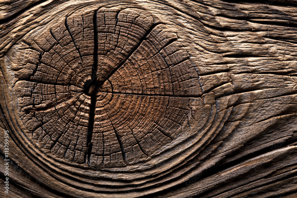 Fototapeta premium Holz Hintergrund 