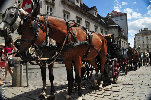 Fiaker Parkplatz