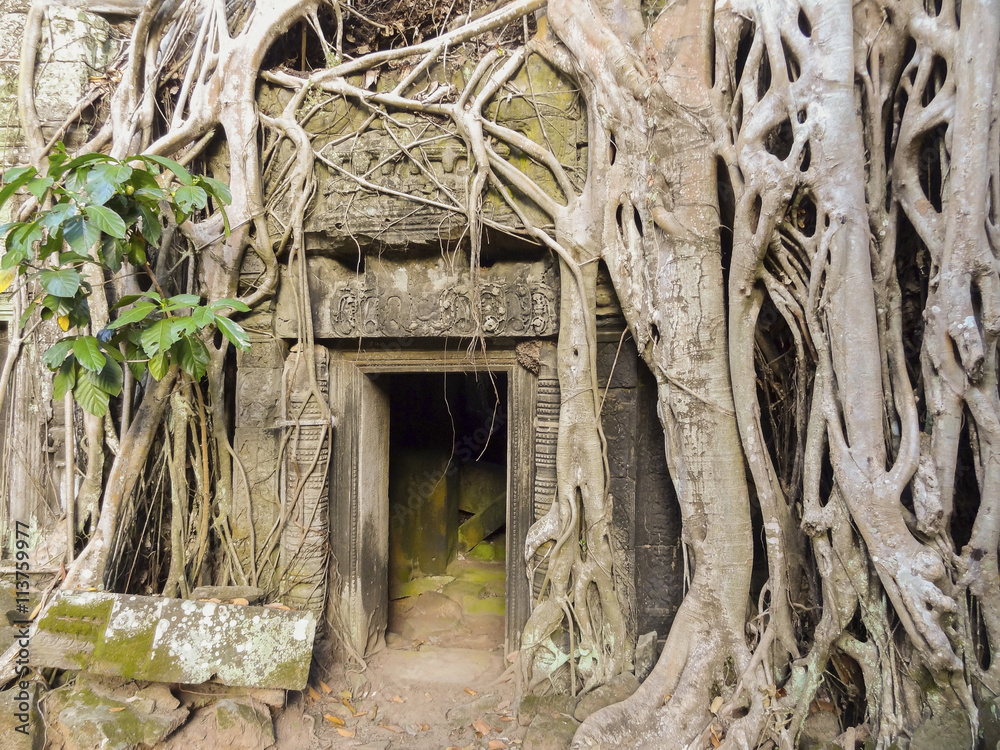 Fototapeta premium Temple detail at Ankor Thom