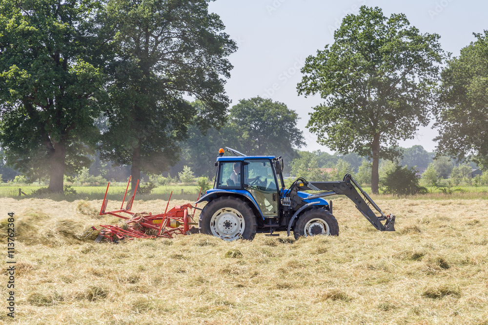 Hay turning to dry grass in the sun on the field in the Netherla Hay turning to dry grass in the sun on the field in the Netherla