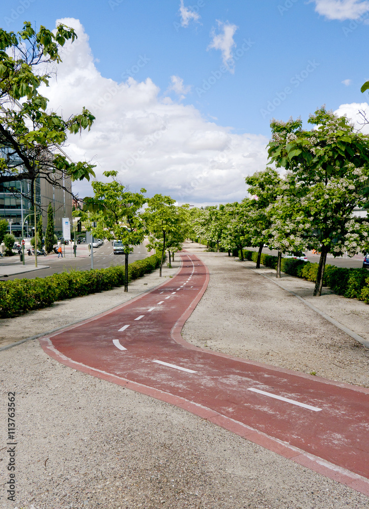 Obraz premium Cycle city lane