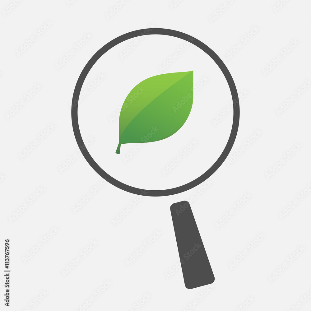 Isolated magnifier icon with a green leaf Isolated magnifier icon with a green leaf