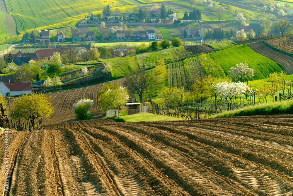 Rural landscape in countryside in South Moravia
