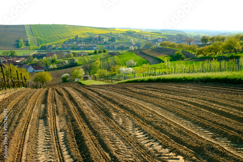 Rural landscape in countryside in South Moravia