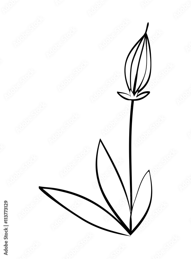 Garden icon. Flower plant  design. vector graphic