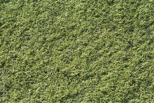 Artificial green grass shot from above, top-down.
