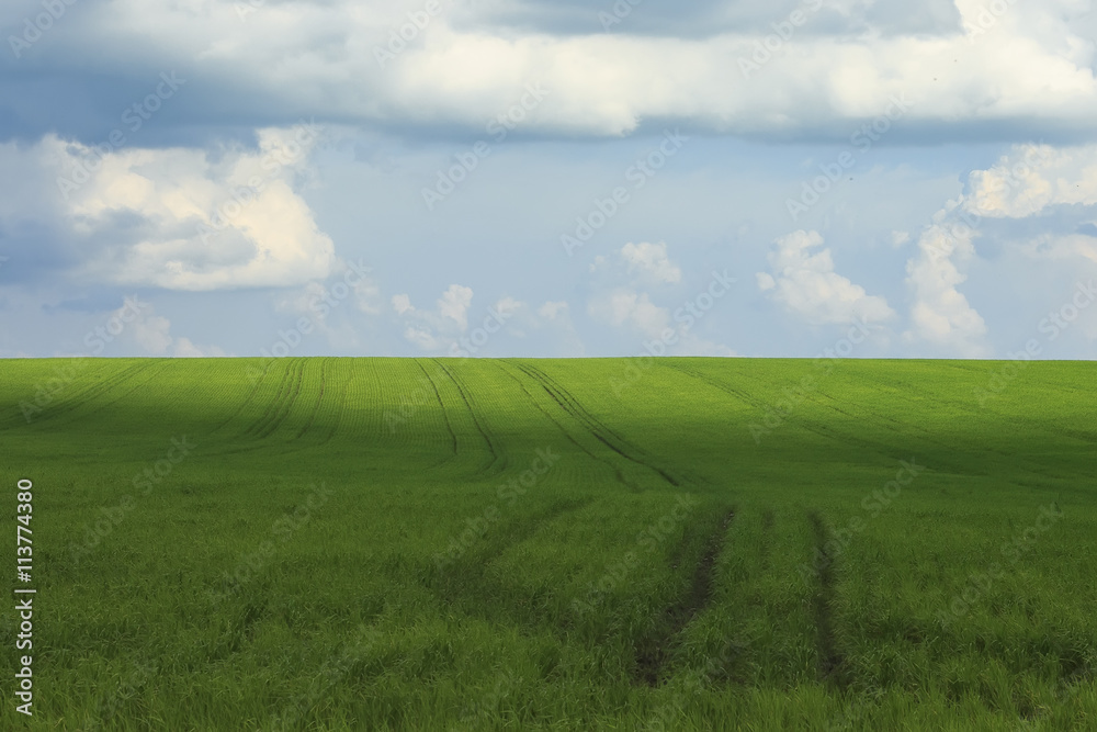 natural background with blue sky with clouds and green grass natural background with blue sky with clouds and green grass