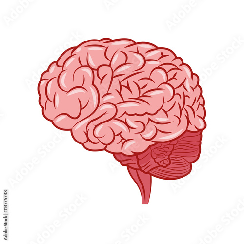 Brain design. organ icon. Flat illustration, vector graphic