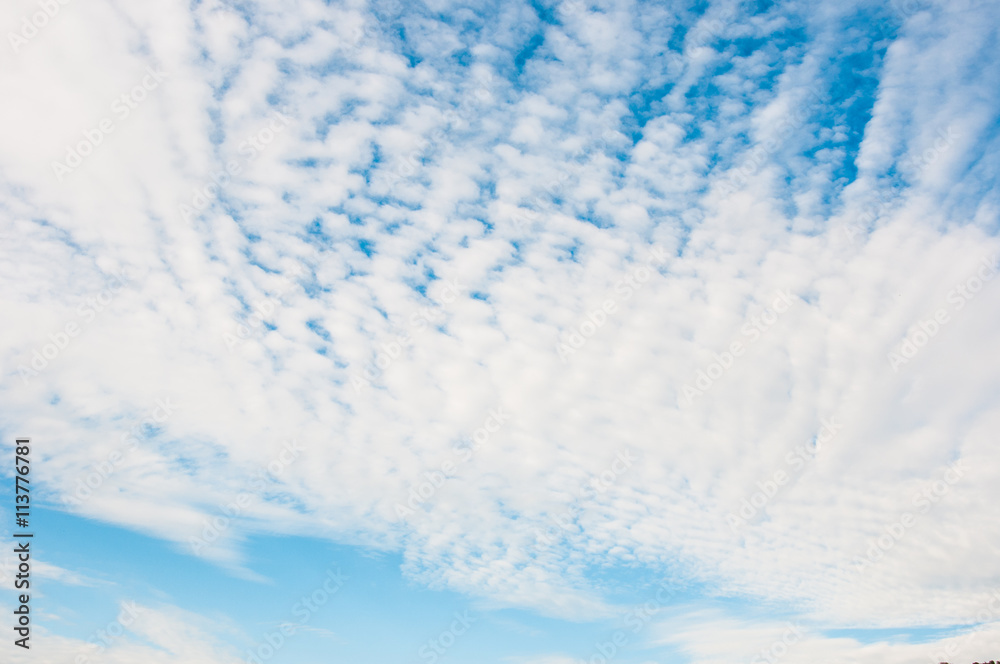 Obraz premium blue sky with white clouds closeup