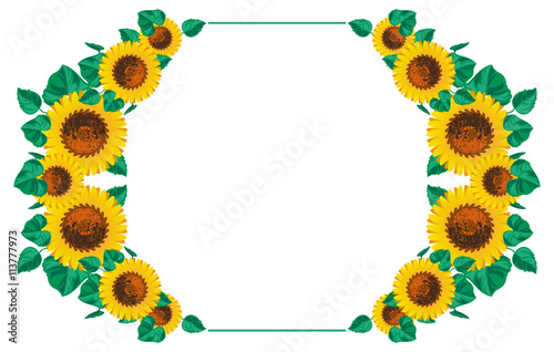 Horizontal frame with sunflowers. Vector clip art.