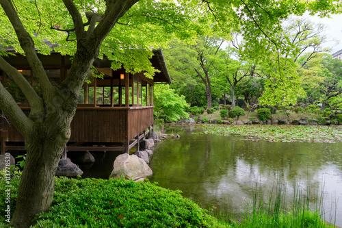 A view from Tennoji Keitakuen green garden
