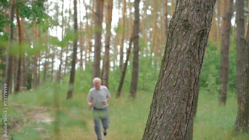 Old man running outdoors in a coniferous forest nature. Slow motion Old man running outdoors in a coniferous forest nature. Slow motion