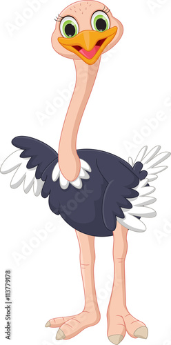 cute ostrich cartoon