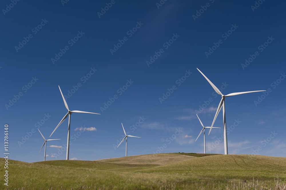 Palouse Wind Farm. Palouse Wind is a 105 megawatt wind farm located in northern Whitman County. Wind has emerged as the country’s fastest-growing source of new energy. Palouse Wind Farm. Palouse Wind is a 105 megawatt wind farm located in northern Whitman County. Wind has emerged as the country’s fastest-growing source of new energy.