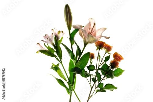 bouquet of flowers isolated on a white background