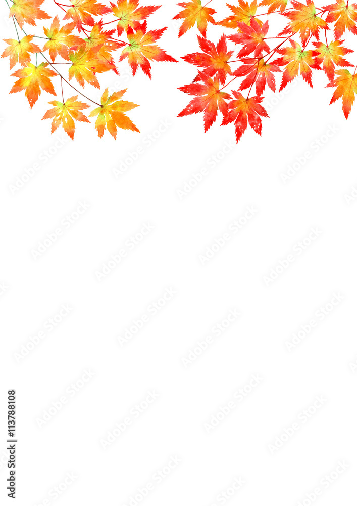 紅葉 楓 背景 Stock Illustration Adobe Stock