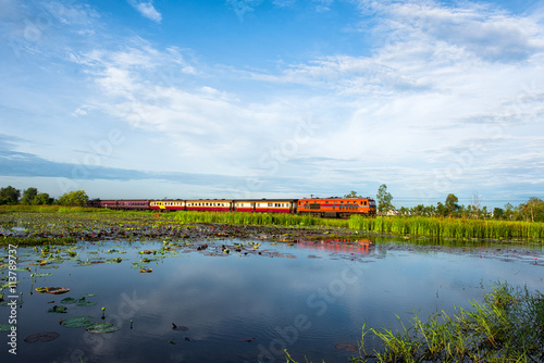 Wetlands in Nature Reserve with train , Fertile swamp and various biology in nature, Located Nong Dea Swamp at Udonthani Province, Thailand