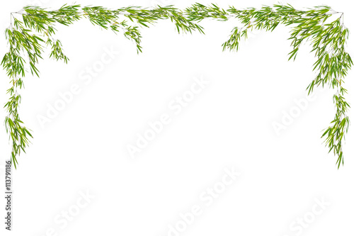 Bamboo leaves frame isolated on white background.