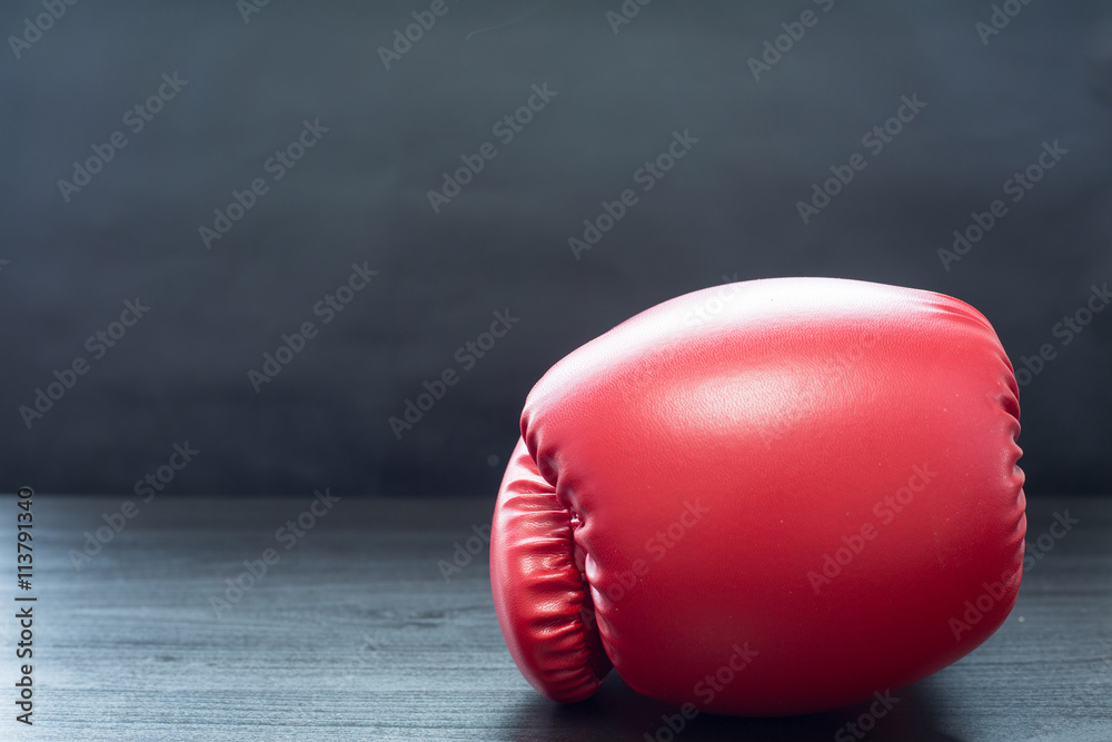 Boxing gloves for boxer