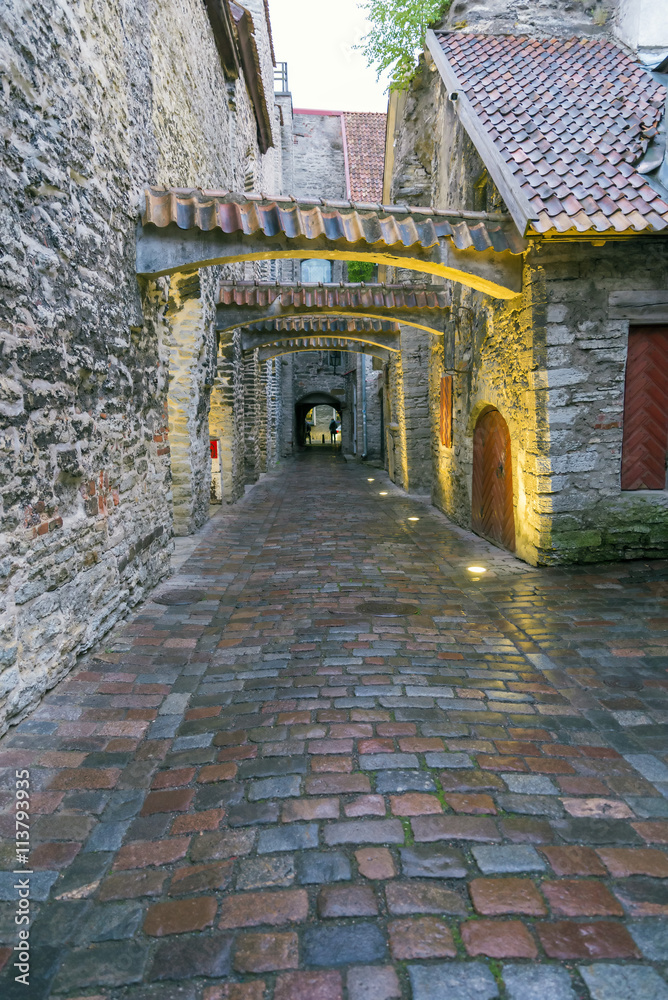 Fototapeta premium Tallin Estonia