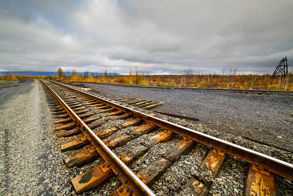 Fototapeta premium Railway track. Late autumn in the Arctic tundra.