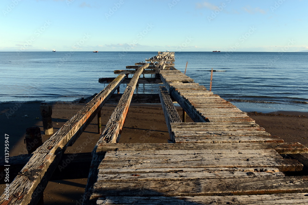 Fototapeta premium The Strait of Magellan at Punta arenas.