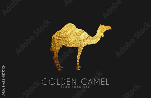 Camel logo. Golden camel. Animal logo. Elegant camel
