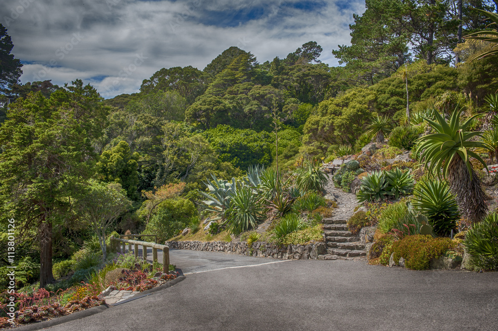 Botanic garden in Wellington, New Zealand