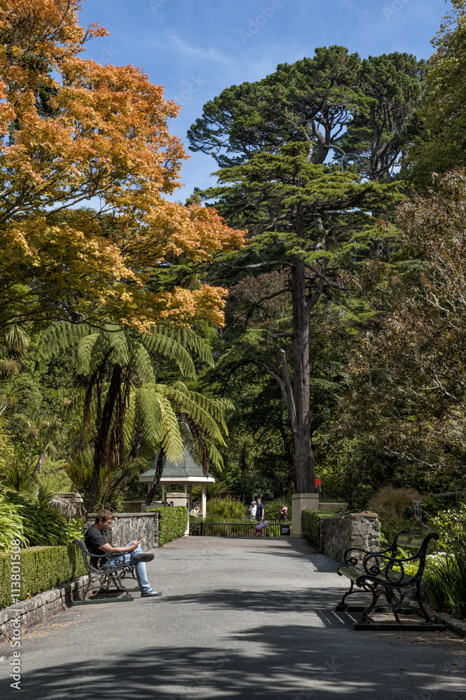 Visitors resting at Wellington Botanic Garden, New Zealand