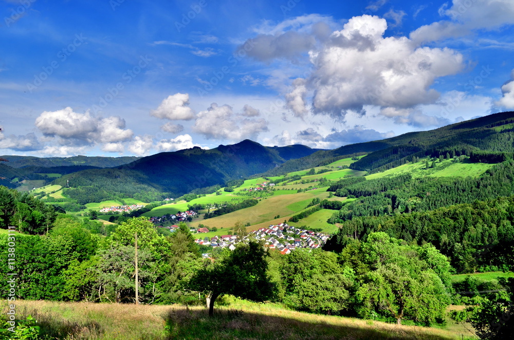 Blick auf Oberried Blick auf Oberried