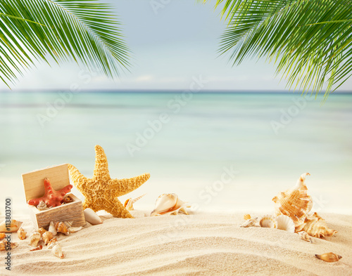 Summer beach with shells