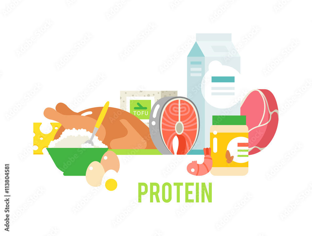 Proteins food vector illustration. Proteins food vector illustration.