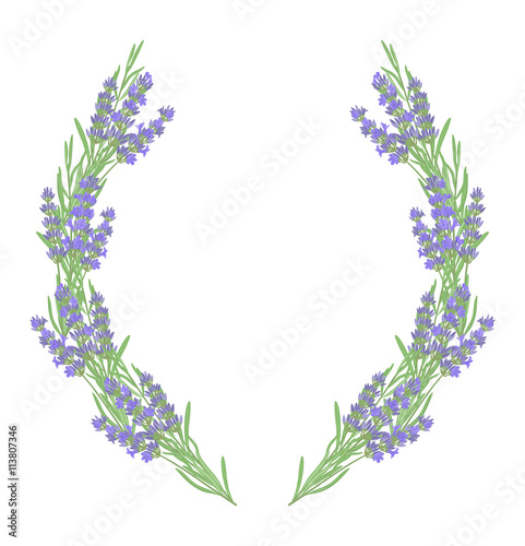 The background for the text label of the packaging the card with lavender flowers.